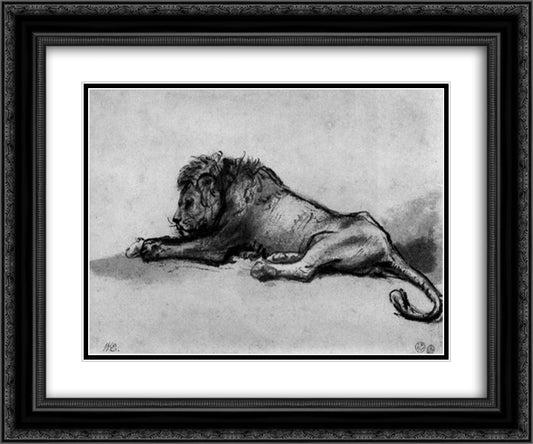 Lion resting 24x20 Black Ornate Wood Framed Art Print Poster with Double Matting by Rembrandt