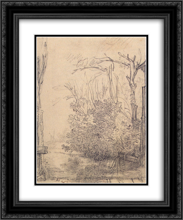 Overhanging bushes in a ditch 20x24 Black Ornate Wood Framed Art Print Poster with Double Matting by Rembrandt