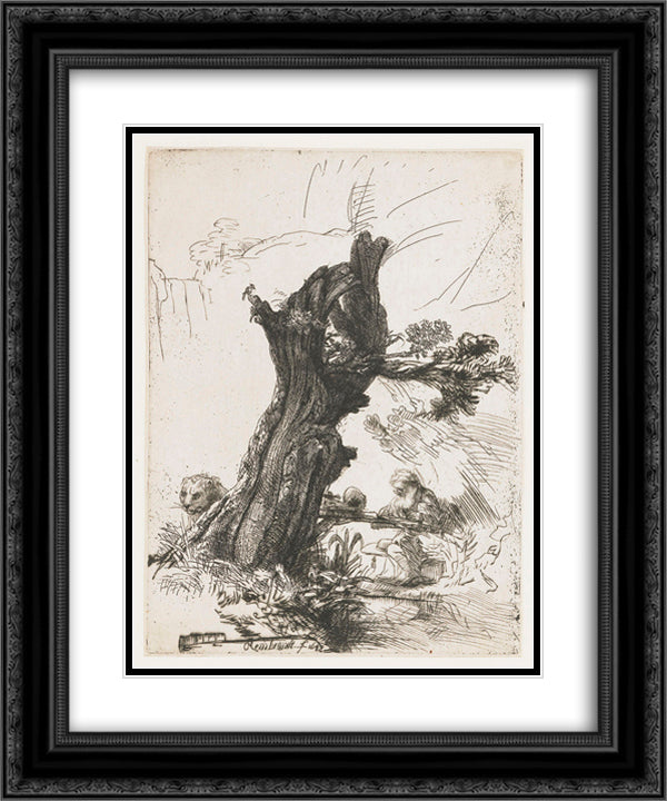 St. Jerome beside a pollard willow 20x24 Black Ornate Wood Framed Art Print Poster with Double Matting by Rembrandt