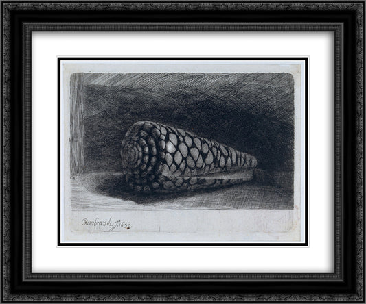 The shell 'Conus Marmoreus' 24x20 Black Ornate Wood Framed Art Print Poster with Double Matting by Rembrandt