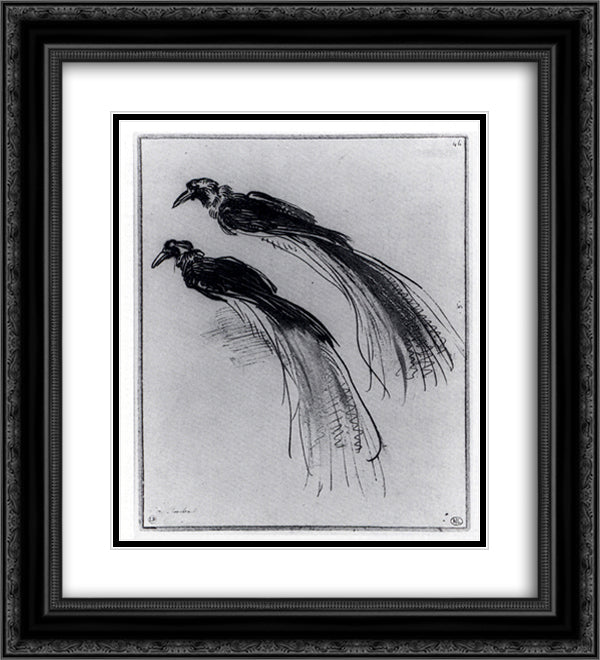 Two Studies Of A Bird Of Paradise 20x22 Black Ornate Wood Framed Art Print Poster with Double Matting by Rembrandt