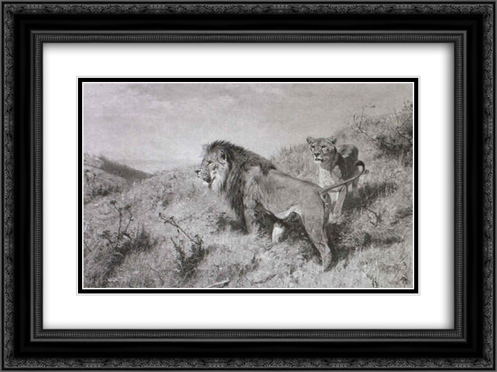 Lowenpaar in der Savanne 24x18 Black Ornate Wood Framed Art Print Poster with Double Matting by Friese, Richard