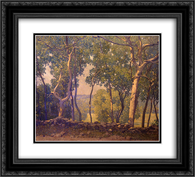 Roadwide 22x20 Black Ornate Wood Framed Art Print Poster with Double Matting by Spencer, Robert