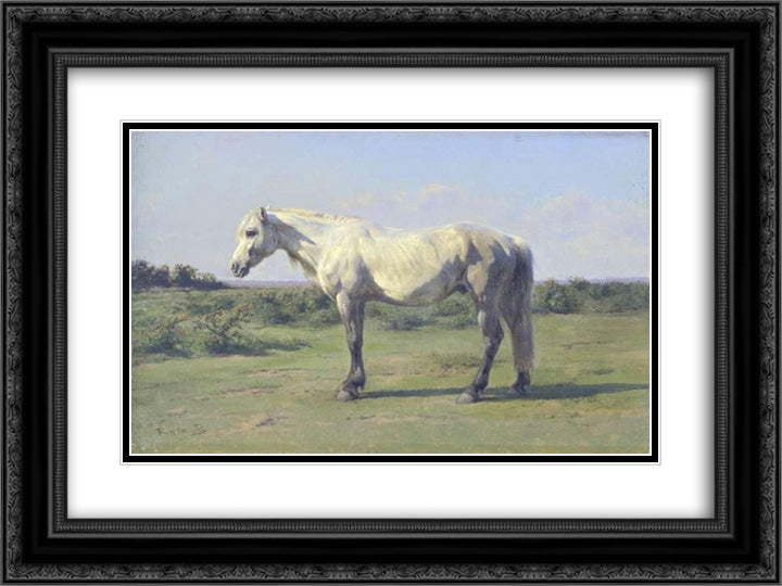 A Grey Horse in a Field 24x18 Black Ornate Wood Framed Art Print Poster with Double Matting by Bonheur, Rosa