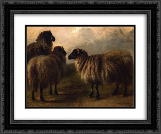 Three Wooly Sheep 24x20 Black Ornate Wood Framed Art Print Poster with Double Matting by Bonheur, Rosa