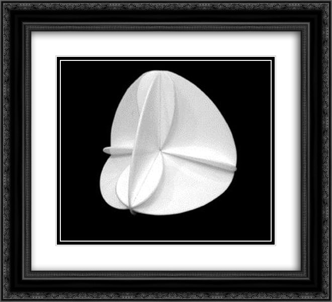 Intersecting Ovals 22x20 Black Ornate Wood Framed Art Print Poster with Double Matting by Vollmer, Ruth