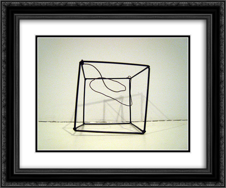 Wire Cage Soap Film Form 24x20 Black Ornate Wood Framed Art Print Poster with Double Matting by Vollmer, Ruth