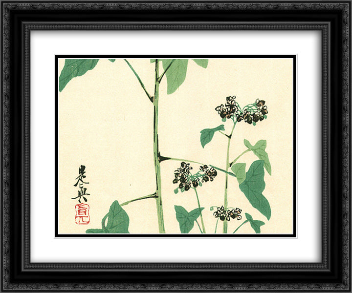Flowering Plant - Hana Kurabe 24x20 Black Ornate Wood Framed Art Print Poster with Double Matting by Zeshin, Shibata