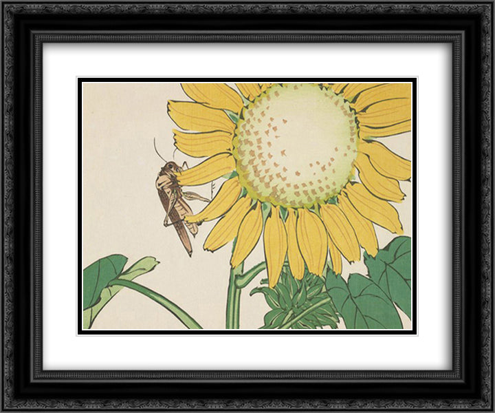 Grasshopper and sunflower 24x20 Black Ornate Wood Framed Art Print Poster with Double Matting by Zeshin, Shibata