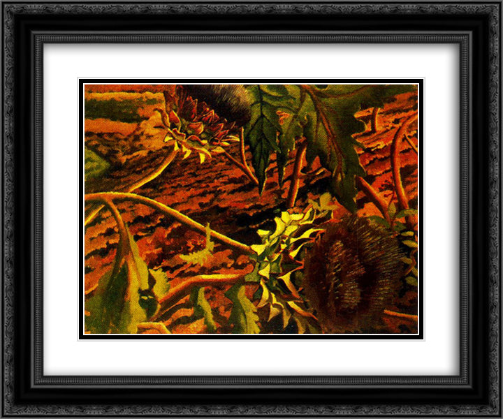 Flowering Artichokes 24x20 Black Ornate Wood Framed Art Print Poster with Double Matting by Spencer, Stanley