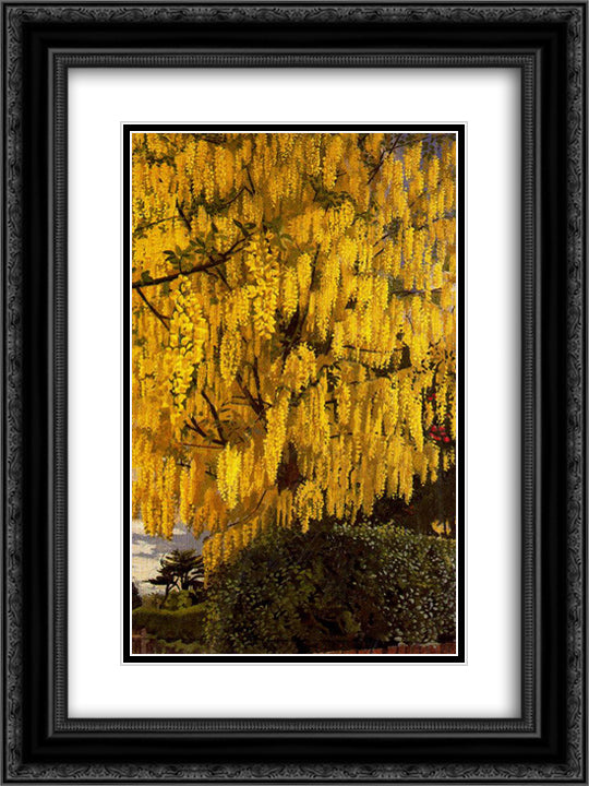 Laburnum 18x24 Black Ornate Wood Framed Art Print Poster with Double Matting by Spencer, Stanley