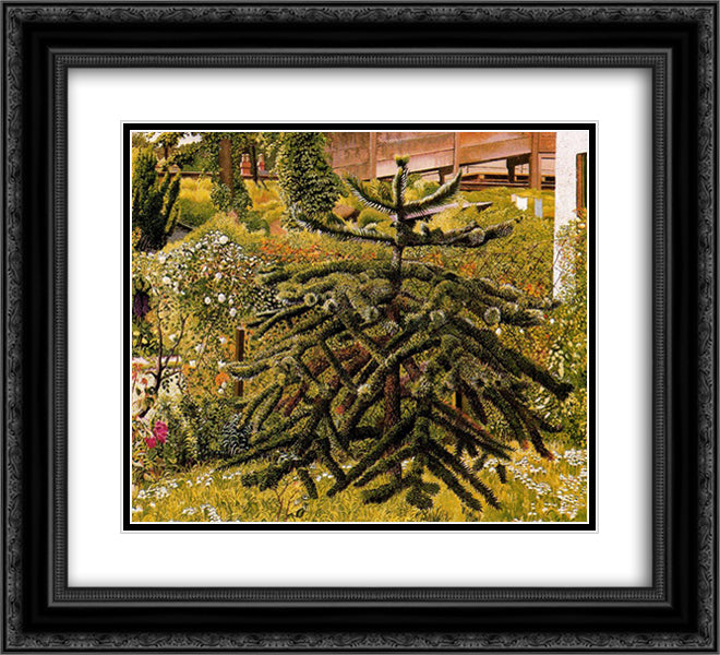 The Monkey Puzzle, Whitehouse, Northern Ireland 22x20 Black Ornate Wood Framed Art Print Poster with Double Matting by Spencer, Stanley