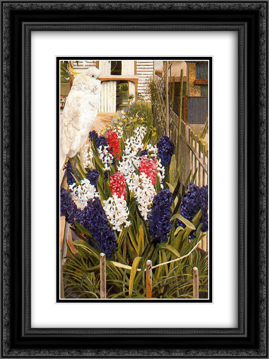 The White Cockatoo (Coronation Cockatoo) 18x24 Black Ornate Wood Framed Art Print Poster with Double Matting by Spencer, Stanley