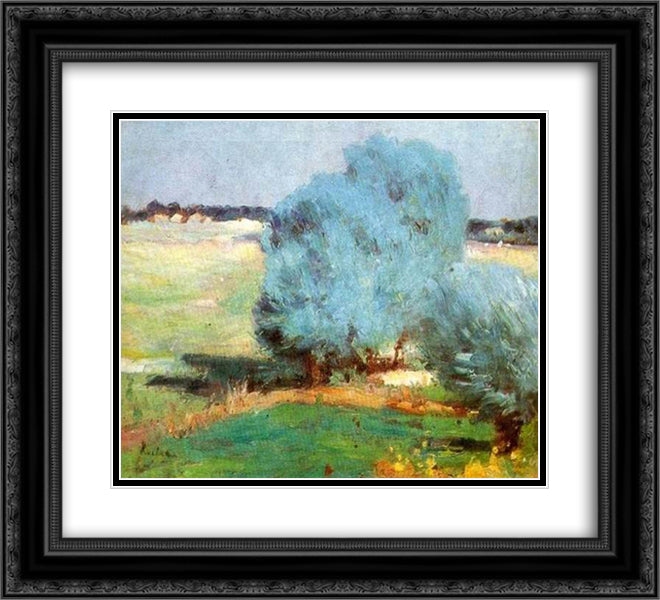 Chiajna Willows 22x20 Black Ornate Wood Framed Art Print Poster with Double Matting by Luchian, Stefan