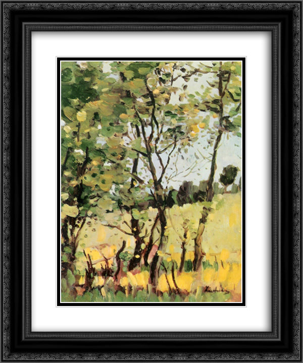 The River Meadow at Poduri 20x24 Black Ornate Wood Framed Art Print Poster with Double Matting by Luchian, Stefan
