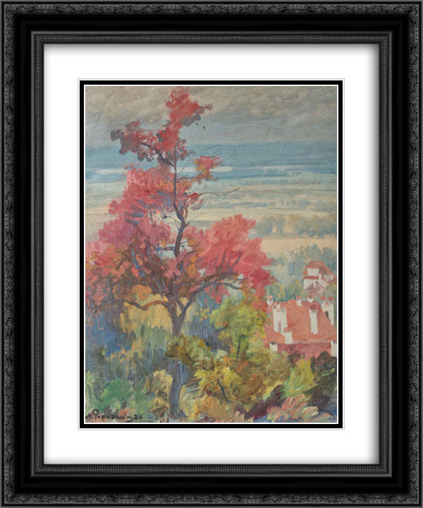 Landscape from Provence 20x24 Black Ornate Wood Framed Art Print Poster with Double Matting by Popescu, Stefan
