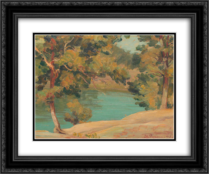 Olt Valley 24x20 Black Ornate Wood Framed Art Print Poster with Double Matting by Popescu, Stefan
