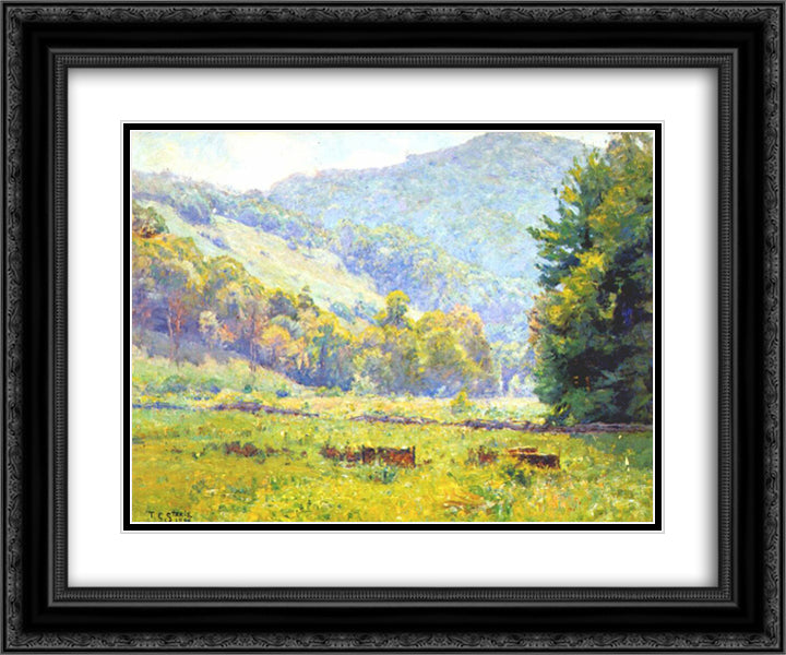 Whitewater Valley 24x20 Black Ornate Wood Framed Art Print Poster with Double Matting by Steele, T. C.