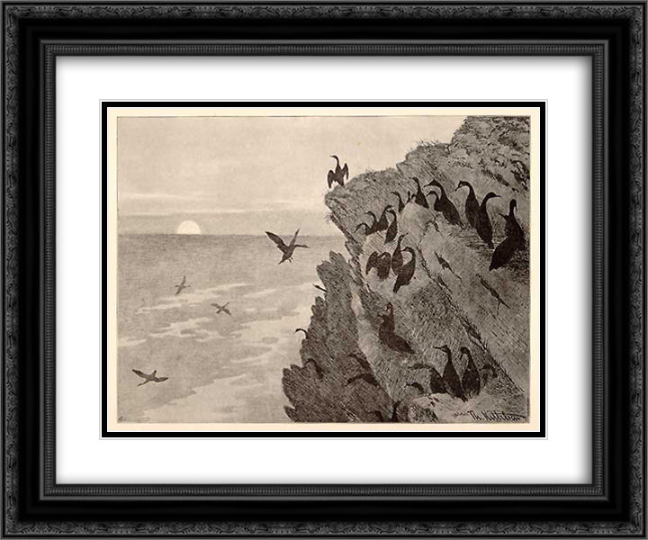 Cormorant 24x20 Black Ornate Wood Framed Art Print Poster with Double Matting by Kittelsen, Theodor Severin