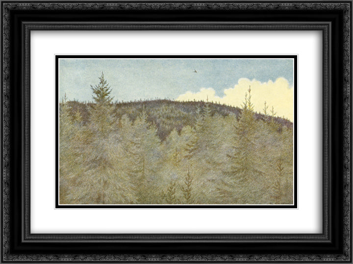 Der Floei En Fugl Over Granehei 24x18 Black Ornate Wood Framed Art Print Poster with Double Matting by Kittelsen, Theodor Severin