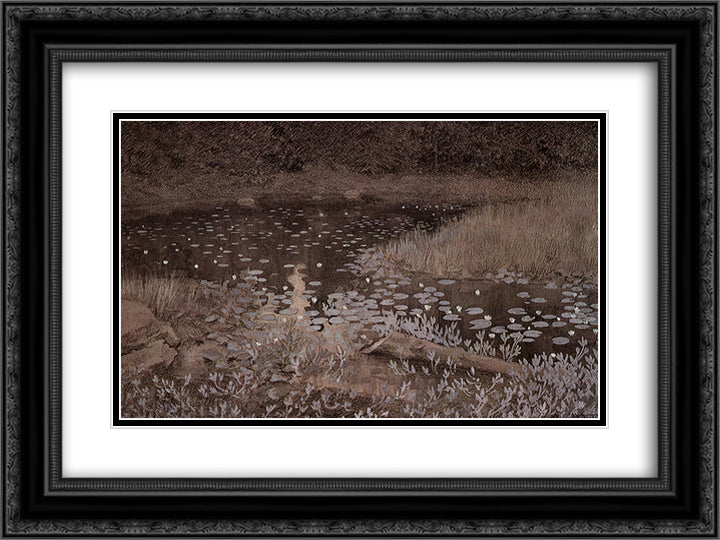 Jomfruland Lilypond 24x18 Black Ornate Wood Framed Art Print Poster with Double Matting by Kittelsen, Theodor Severin