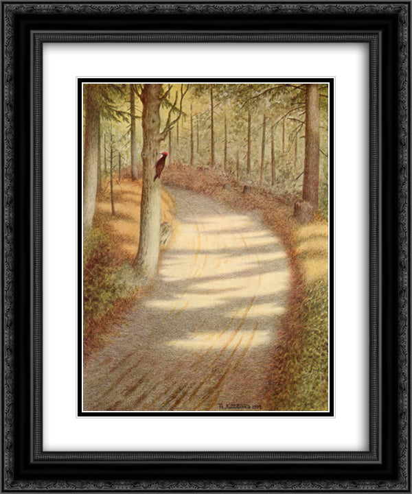 Woodpecker 20x24 Black Ornate Wood Framed Art Print Poster with Double Matting by Kittelsen, Theodor Severin