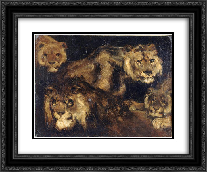 Study for Four Lions 24x20 Black Ornate Wood Framed Art Print Poster with Double Matting by Gericault, Theodore