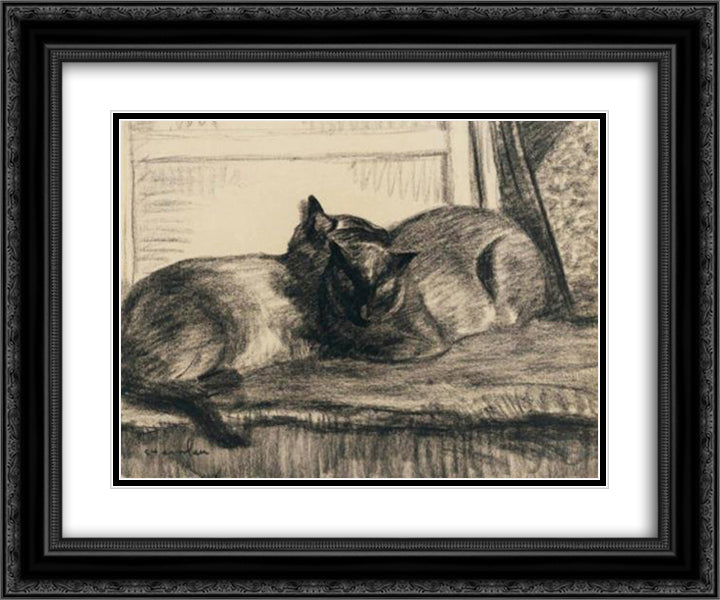 Cats Sleeping in the Studio 24x20 Black Ornate Wood Framed Art Print Poster with Double Matting by Steinlen, Theophile