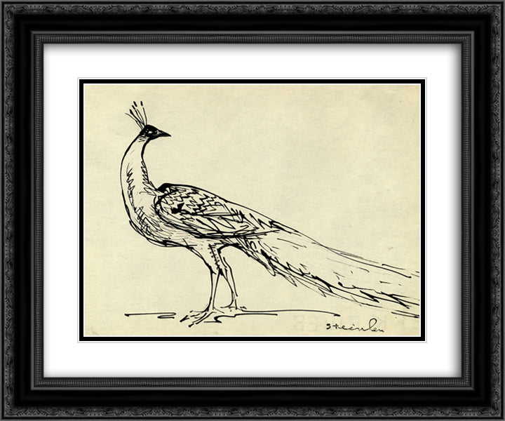 Peacock 24x20 Black Ornate Wood Framed Art Print Poster with Double Matting by Steinlen, Theophile