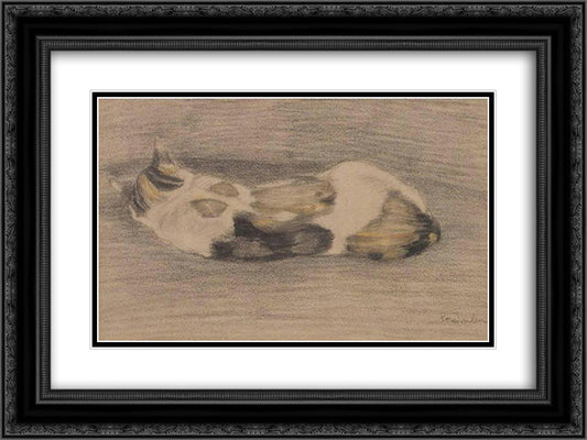 Sleeping tricolor cate 24x18 Black Ornate Wood Framed Art Print Poster with Double Matting by Steinlen, Theophile