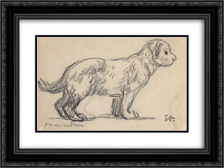 Study of a puppy 24x18 Black Ornate Wood Framed Art Print Poster with Double Matting by Steinlen, Theophile