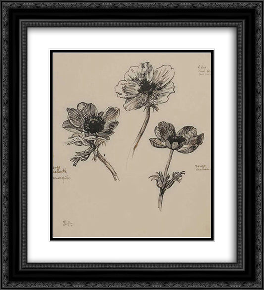 Trois Etudes d'Anemones 20x22 Black Ornate Wood Framed Art Print Poster with Double Matting by Steinlen, Theophile