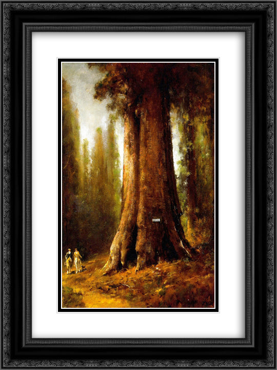 California Redwood Trees 18x24 Black Ornate Wood Framed Art Print Poster with Double Matting by Hill, Thomas