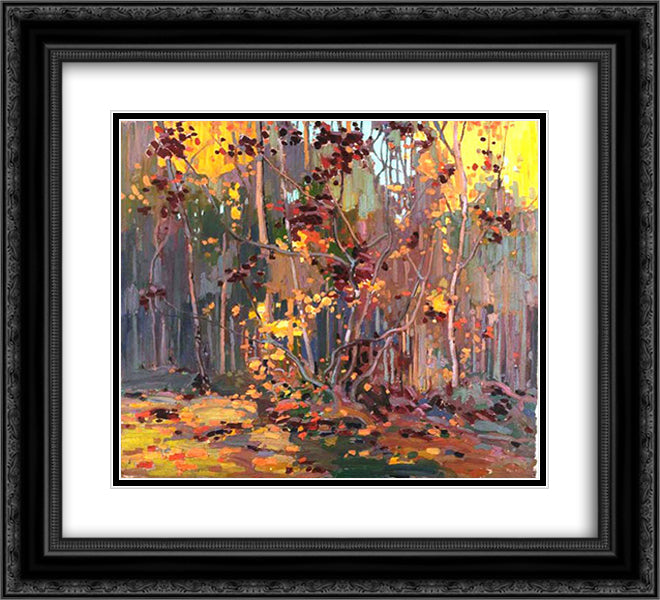 Maple Saplings 22x20 Black Ornate Wood Framed Art Print Poster with Double Matting by Thomson, Tom