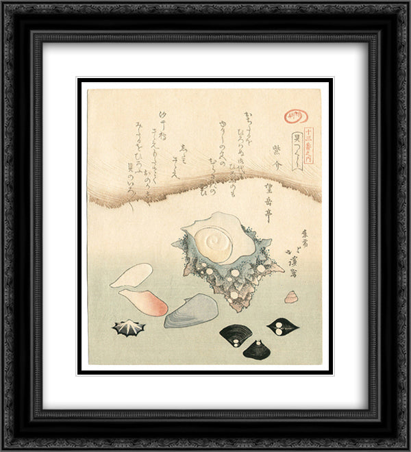 Seashells 20x22 Black Ornate Wood Framed Art Print Poster with Double Matting by Hokkei, Toyota