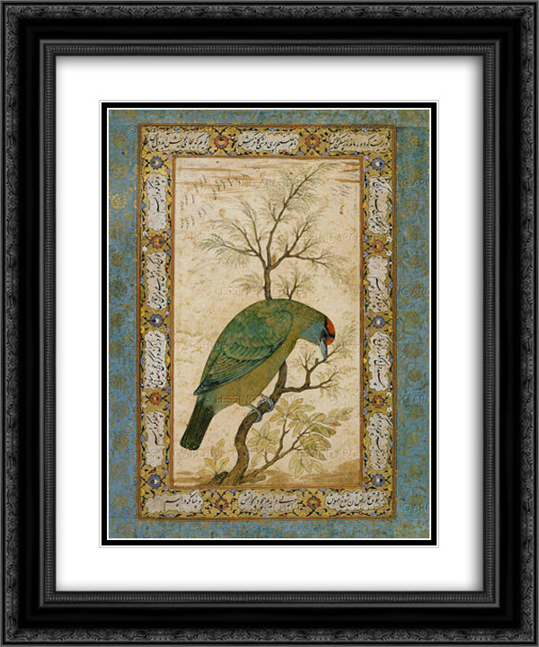 A Barbet (Himalayan blue-throated bird) 20x24 Black Ornate Wood Framed Art Print Poster with Double Matting by Mansur, Ustad