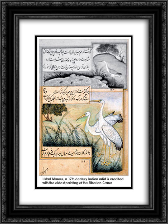 Crane 18x24 Black Ornate Wood Framed Art Print Poster with Double Matting by Mansur, Ustad