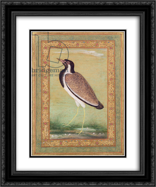 Indian Lapwing 20x24 Black Ornate Wood Framed Art Print Poster with Double Matting by Mansur, Ustad