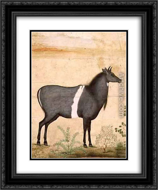 Nilgai Blue Cow 20x24 Black Ornate Wood Framed Art Print Poster with Double Matting by Mansur, Ustad