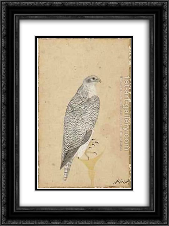 Portrait of a Falcon from Northern India 18x24 Black Ornate Wood Framed Art Print Poster with Double Matting by Mansur, Ustad