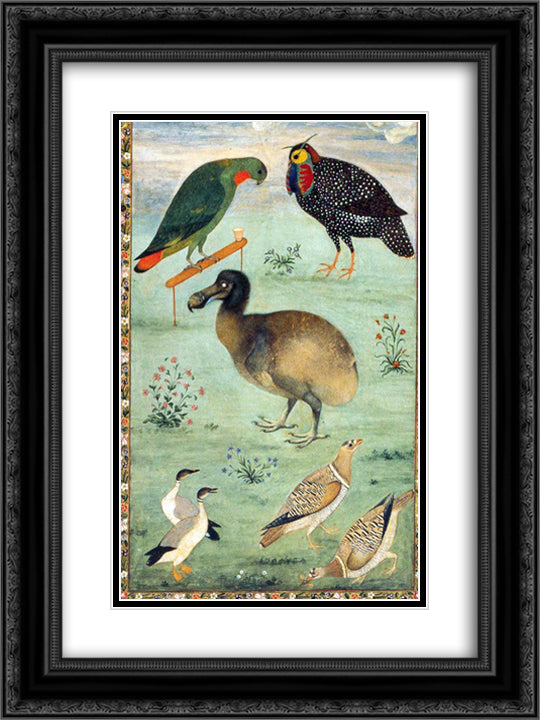 Untitled (Dodo) 18x24 Black Ornate Wood Framed Art Print Poster with Double Matting by Mansur, Ustad