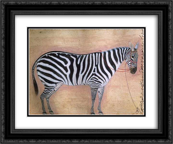 Zebra 24x20 Black Ornate Wood Framed Art Print Poster with Double Matting by Mansur, Ustad