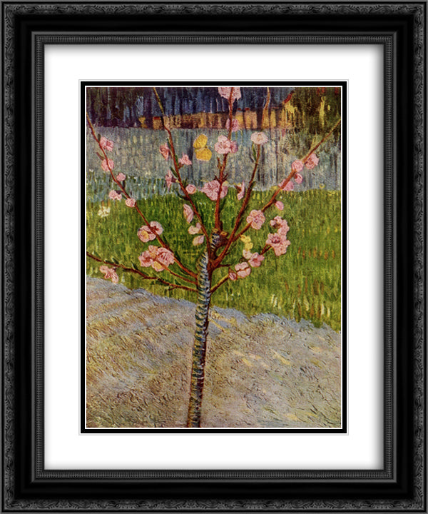 Almond Tree in Blossom 20x24 Black Ornate Wood Framed Art Print Poster with Double Matting by Van Gogh, Vincent