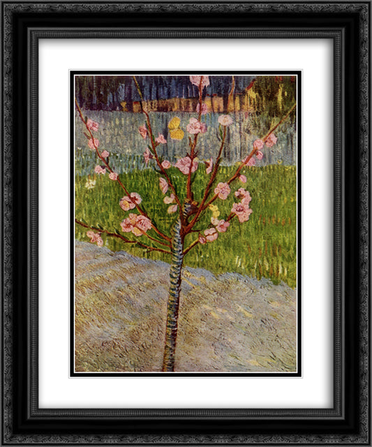 Almond Tree in Blossom 20x24 Black Ornate Wood Framed Art Print Poster with Double Matting by Van Gogh, Vincent