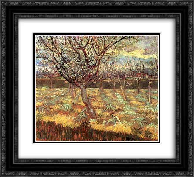 Apricot Trees in Blossom 22x20 Black Ornate Wood Framed Art Print Poster with Double Matting by Van Gogh, Vincent