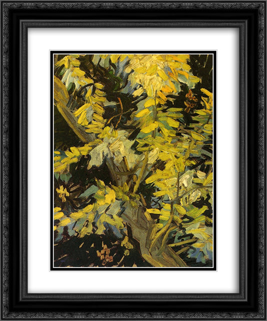 Blossoming Acacia Branches 20x24 Black Ornate Wood Framed Art Print Poster with Double Matting by Van Gogh, Vincent