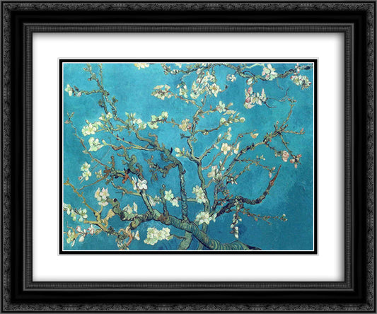 Branches with Almond Blossom 24x20 Black Ornate Wood Framed Art Print Poster with Double Matting by Van Gogh, Vincent