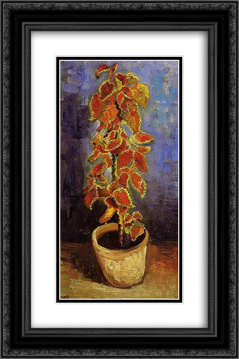 Coleus Plant in a Flowerpot 16x24 Black Ornate Wood Framed Art Print Poster with Double Matting by Van Gogh, Vincent