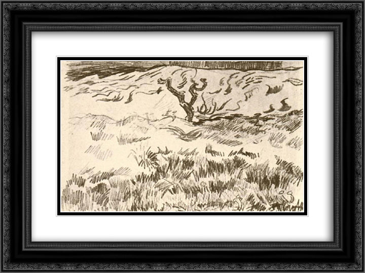 Field with Bare Tree 24x18 Black Ornate Wood Framed Art Print Poster with Double Matting by Van Gogh, Vincent