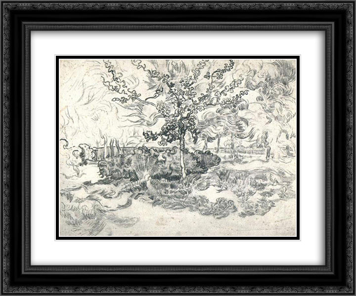 Garden of the Asylum 24x20 Black Ornate Wood Framed Art Print Poster with Double Matting by Van Gogh, Vincent